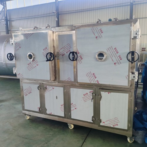Double Room Vacuum Freeze Dryer